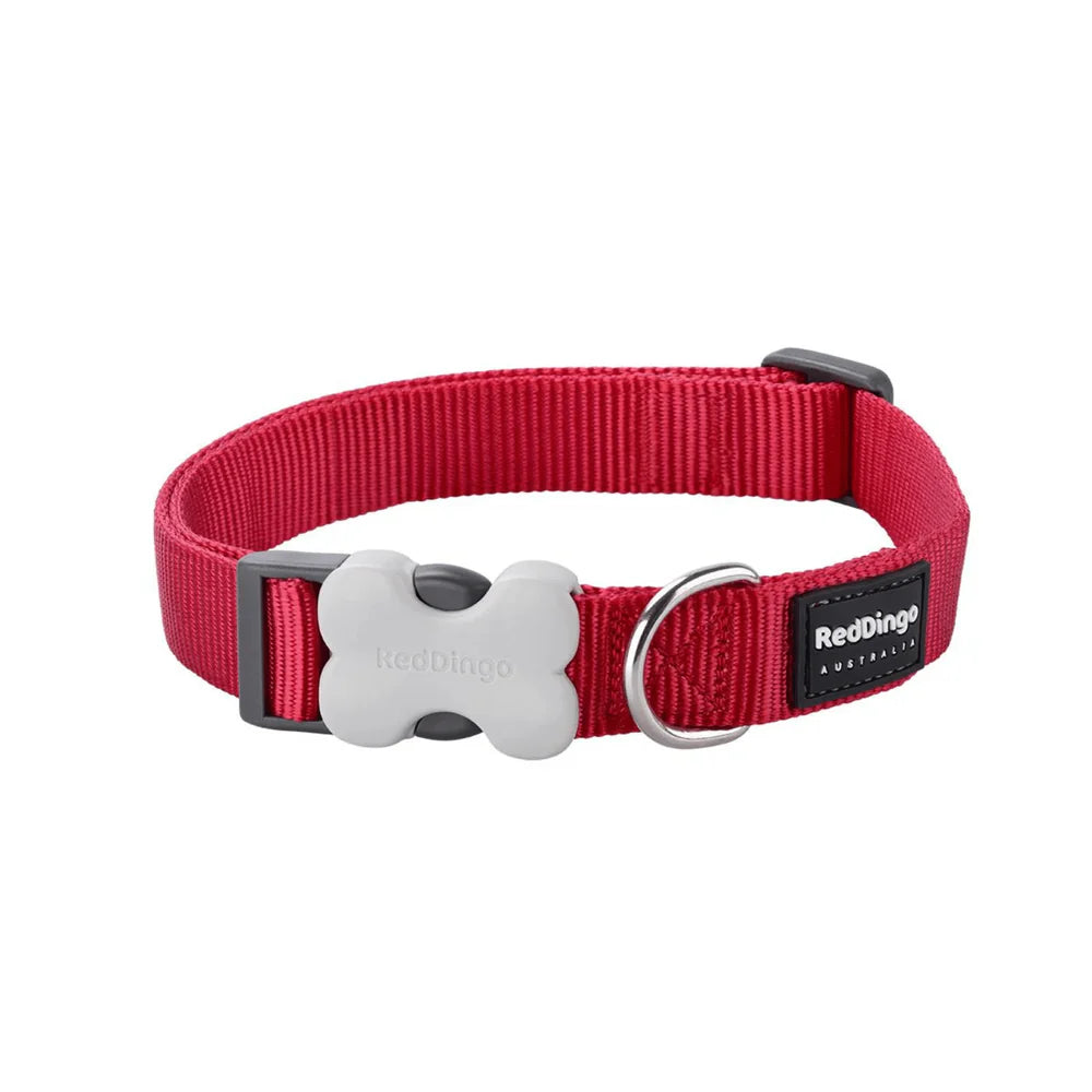 Red Dingo Red Collar