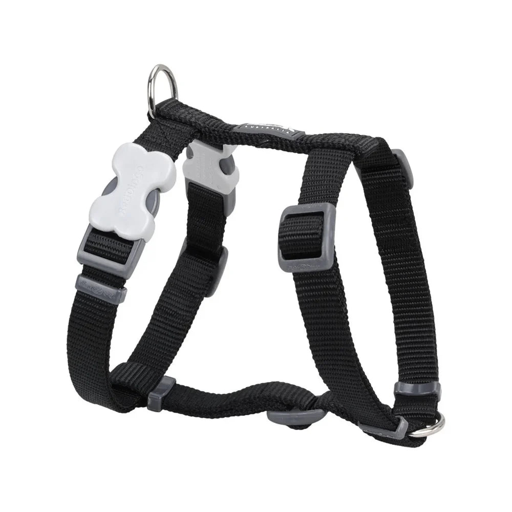 Red Dingo Black Harness