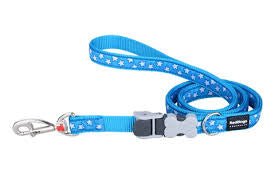 Red Dingo Turquoise With White Stars SuperLead Medium