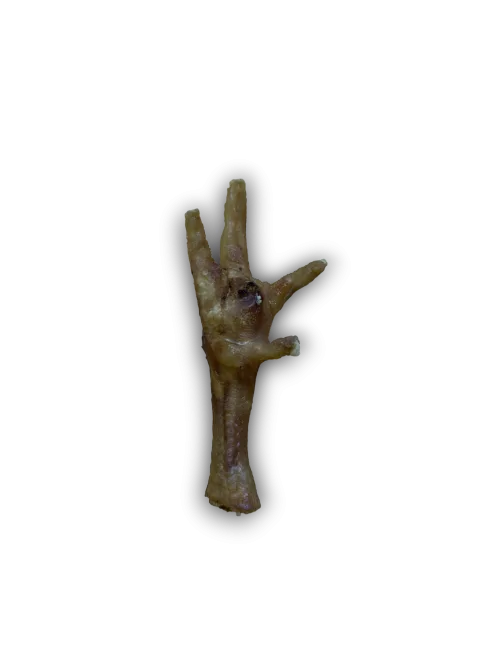 Anco Chicken Foot