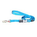 Red Dingo Turquoise SuperLead Medium