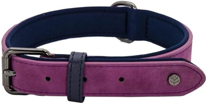 Sotnos Brights Tech Collar Purple S