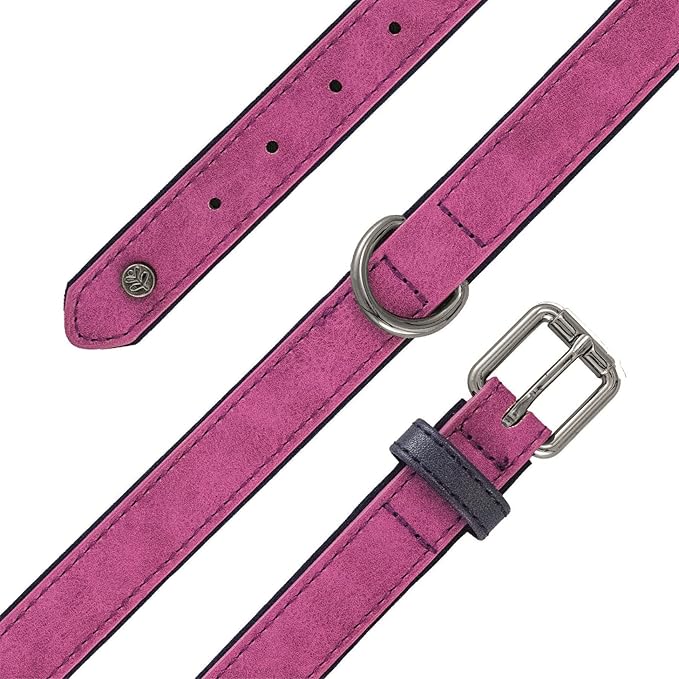 Sotnos Brights Tech Collar Purple M