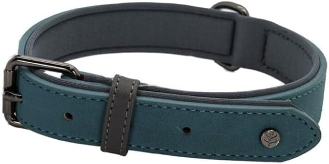 Sotnos Brights Tech Collar - Small / Teal