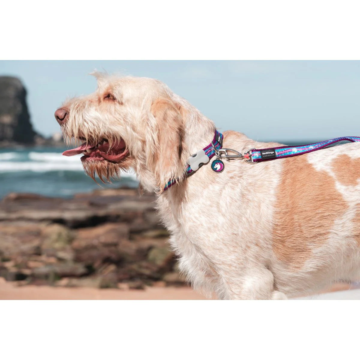 Red Dingo Dog Collar Purple Unicorn