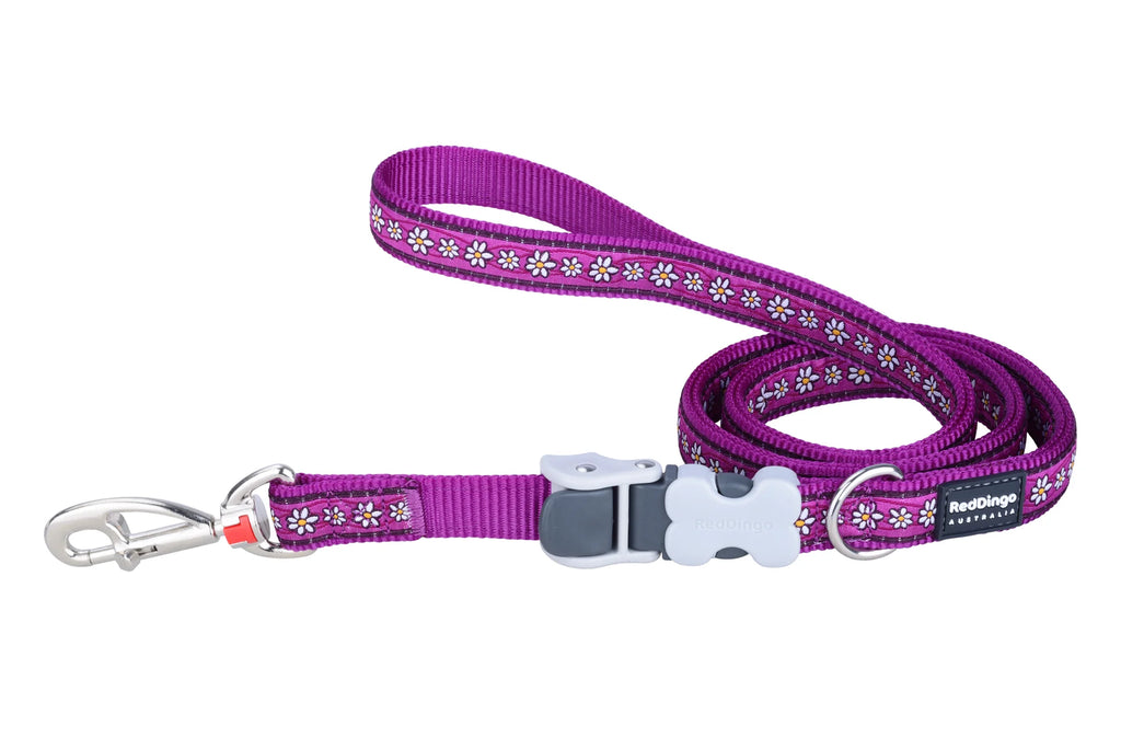 Red Dingo Purple Daisy Chain SuperLead Medium