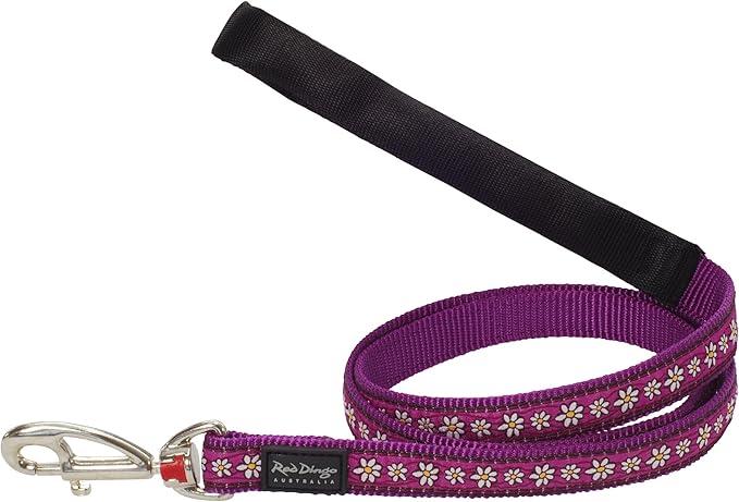 Red Dingo Purple Daisy Chain Dog Lead
