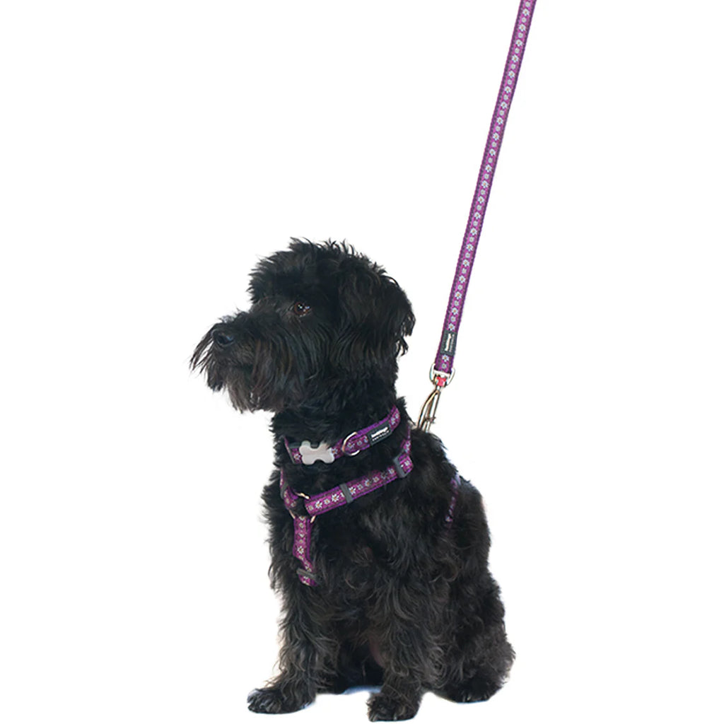 Red Dingo Purple Daisy Chain Dog Lead