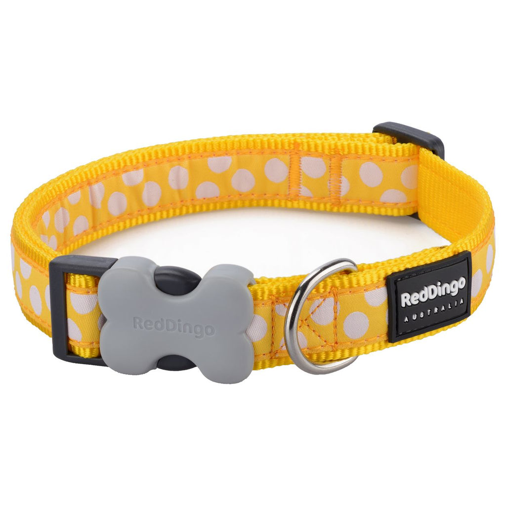 Red Dingo Dog Collar Yellow With White Spots