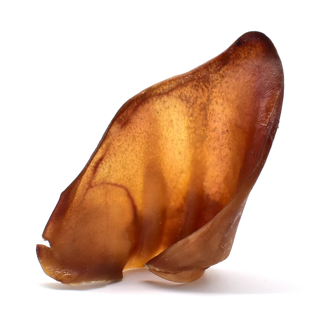 Pure & Natural Pig Ear
