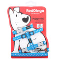 Red Dingo Puppy Pack White Stars on Turquoise