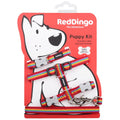 Red Dingo Puppy Pack Rainbow Red