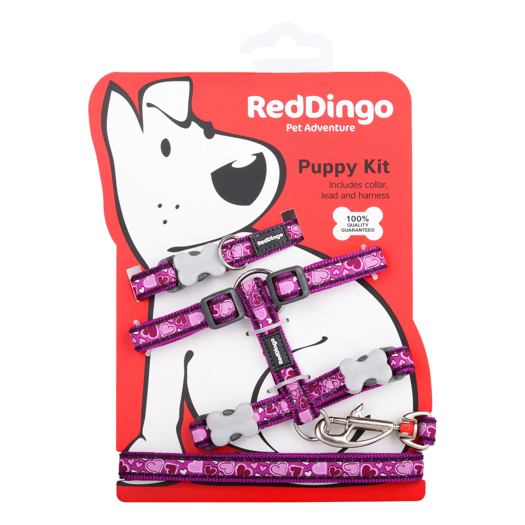 Red Dingo Puppy Pack Breezy Purple