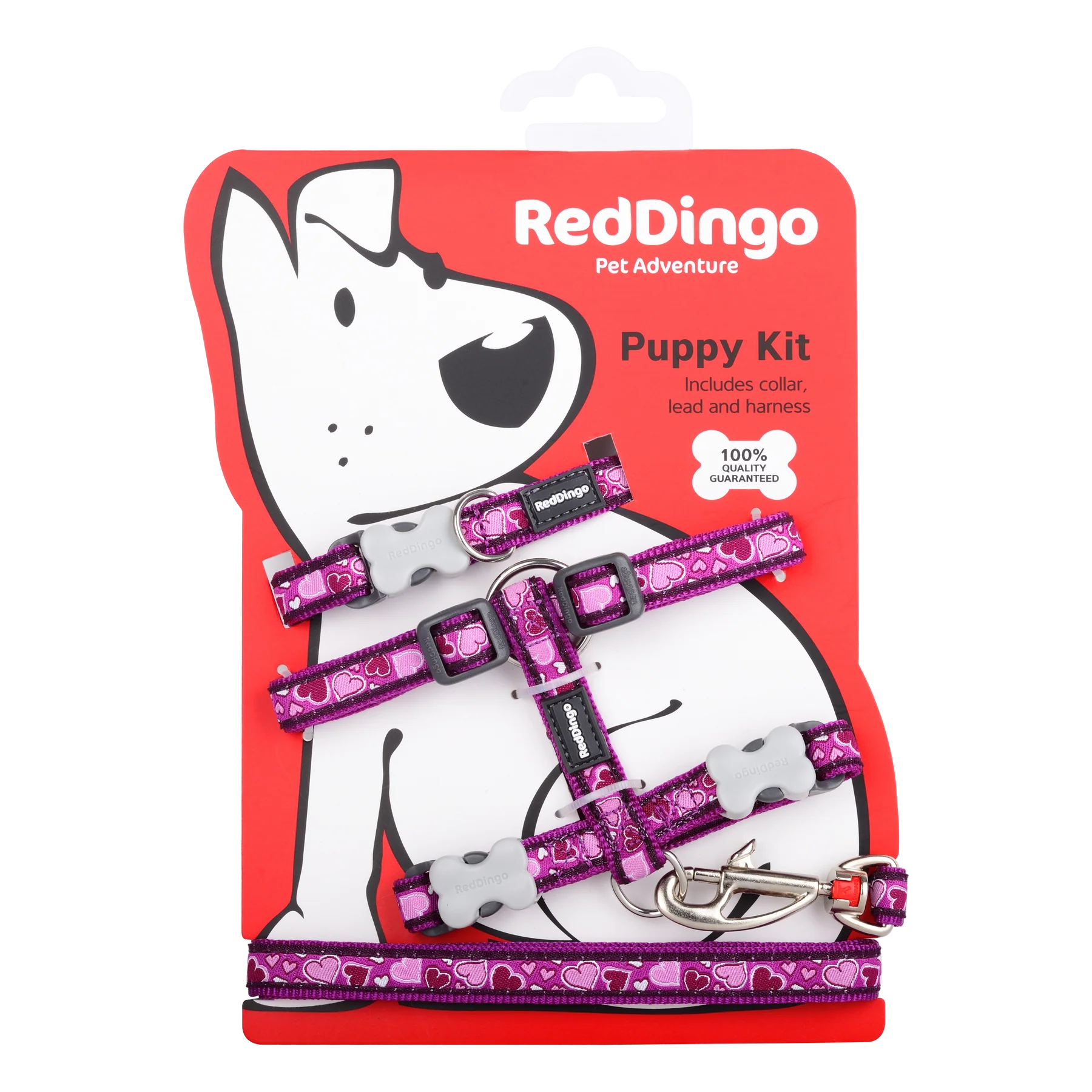 Red Dingo Puppy Pack Breezy Purple