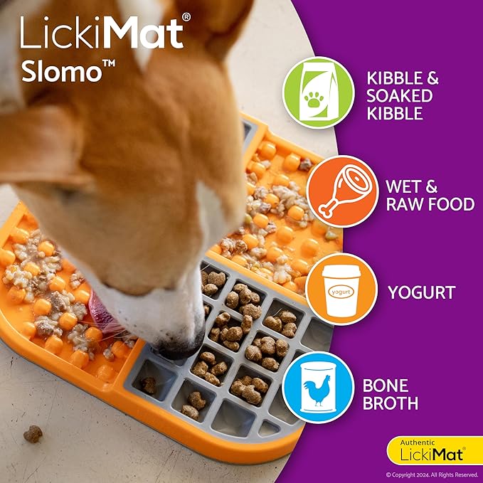 LickiMat Dog Slomo Purple