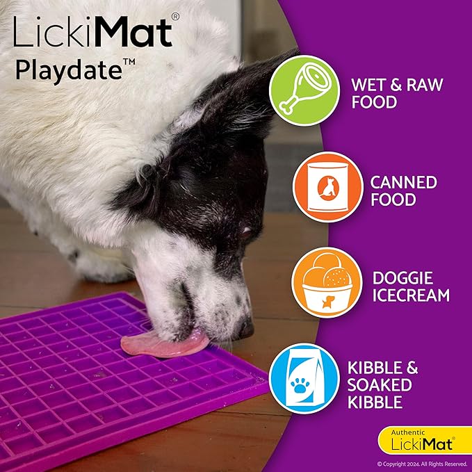 LickiMat Dog Playdate Orange