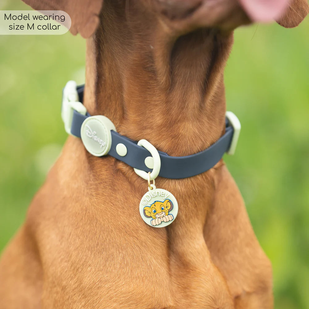 Pawsome Paws Waterproof Simba Collar