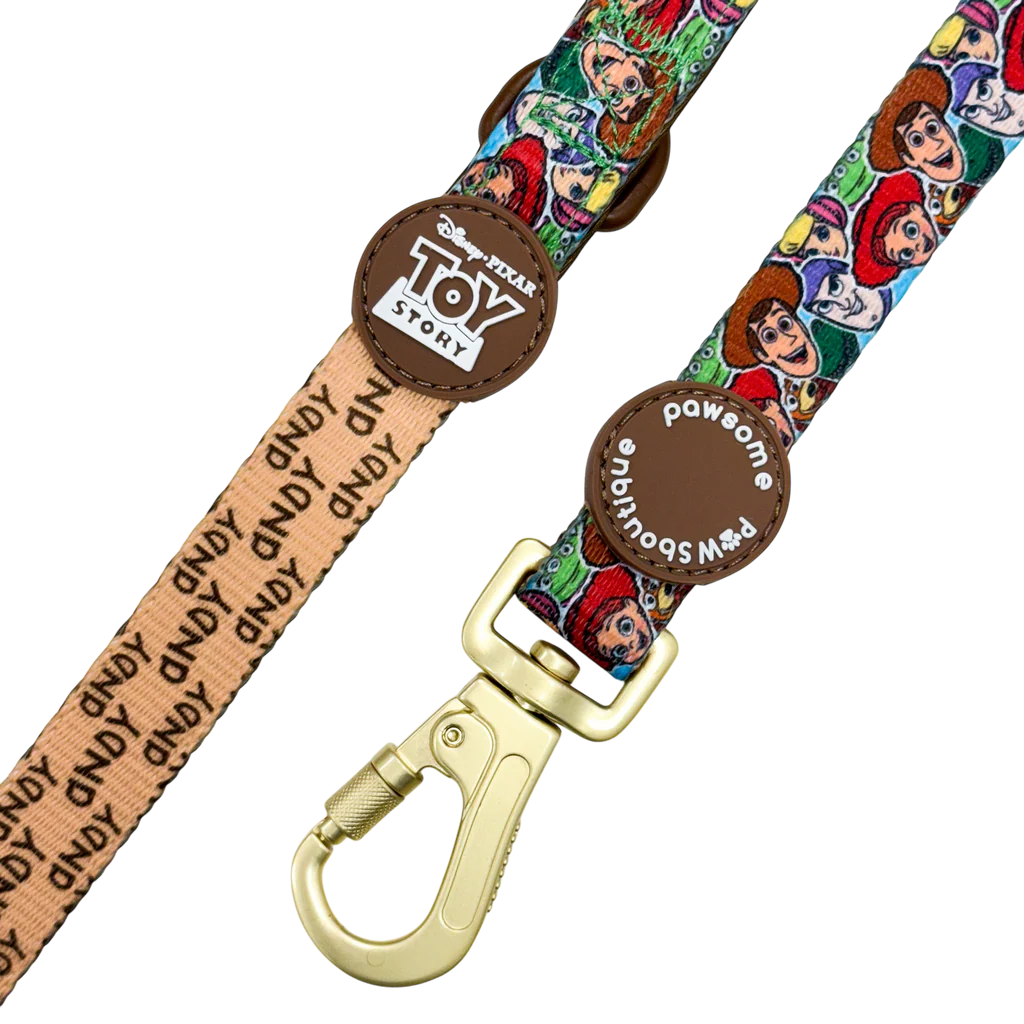 Pawsome Paws Boutique Toy Story Lead