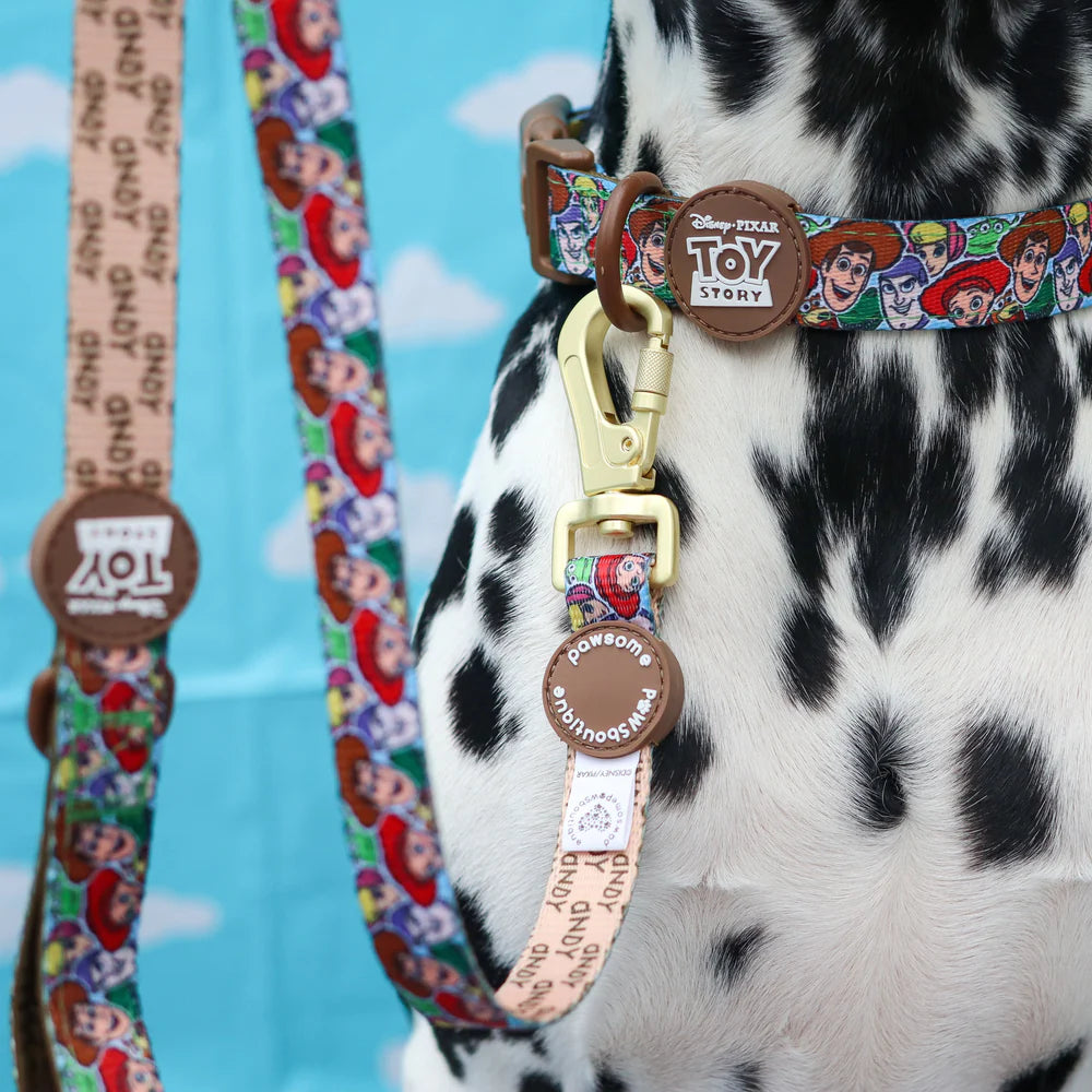 Pawsome Paws Boutique Toy Story Lead