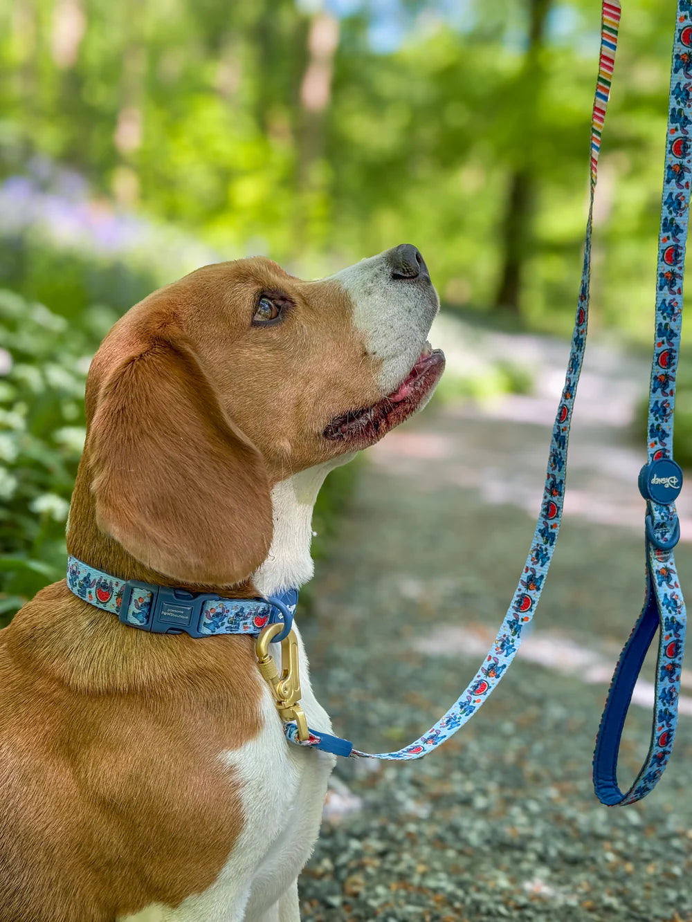 Pawsome Paws Boutique Stitch’s Fruit Fiesta Lead