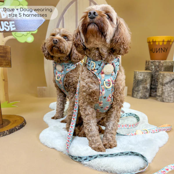 Pawsome Paws Boutique Winnie the Pooh Harness