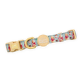 Pawsome Paws Boutique Winnie the Pooh Collar