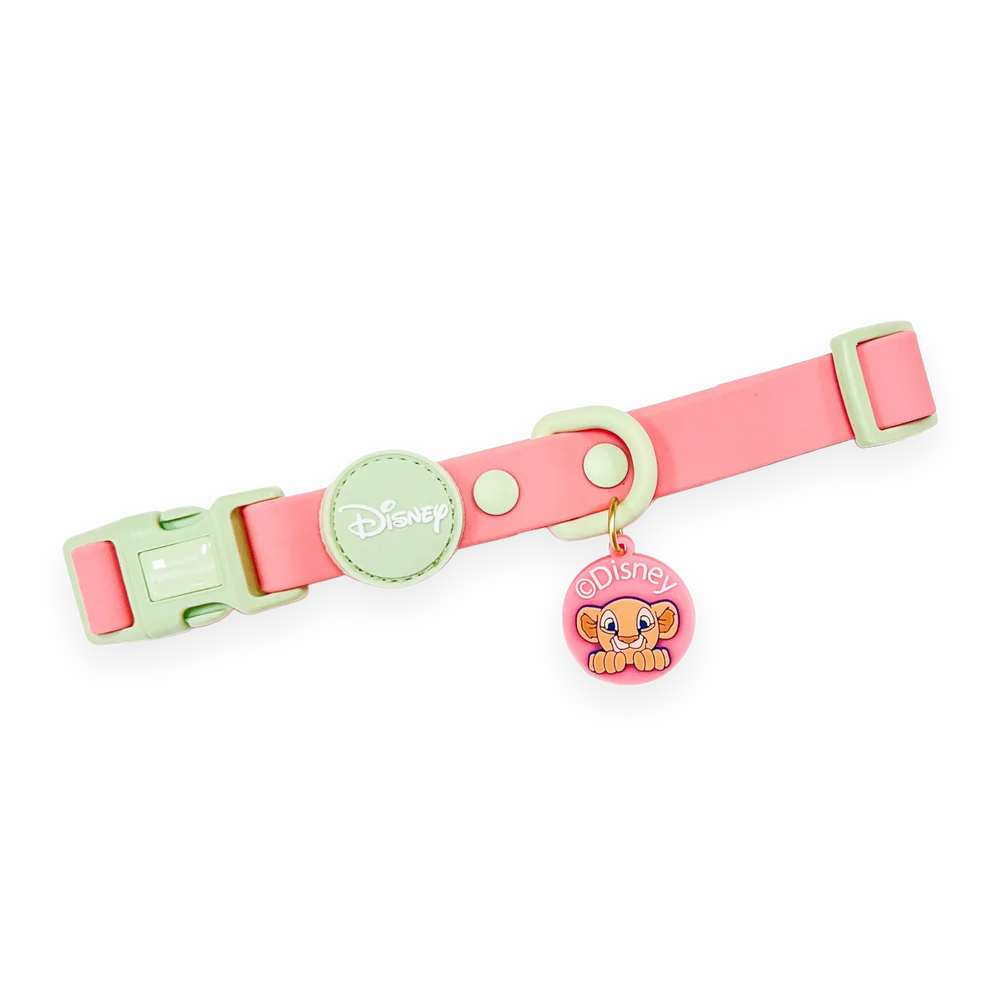 Pawsome Paws Boutique Waterproof Nala Collar