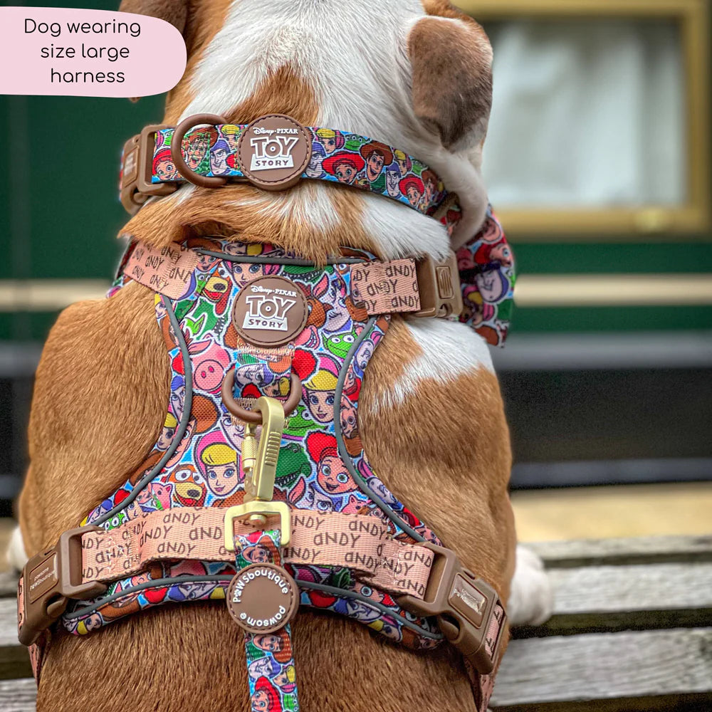 Pawsome Paws Boutique Toy Story Collar