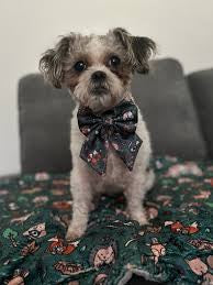 Pup Chic Woodland Wonderland Sailor Bow