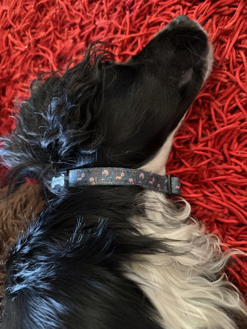 Pup chic woodland Wonderland Dog Collar