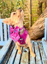 Pup Chic Peacock Power Sailor Bow pink