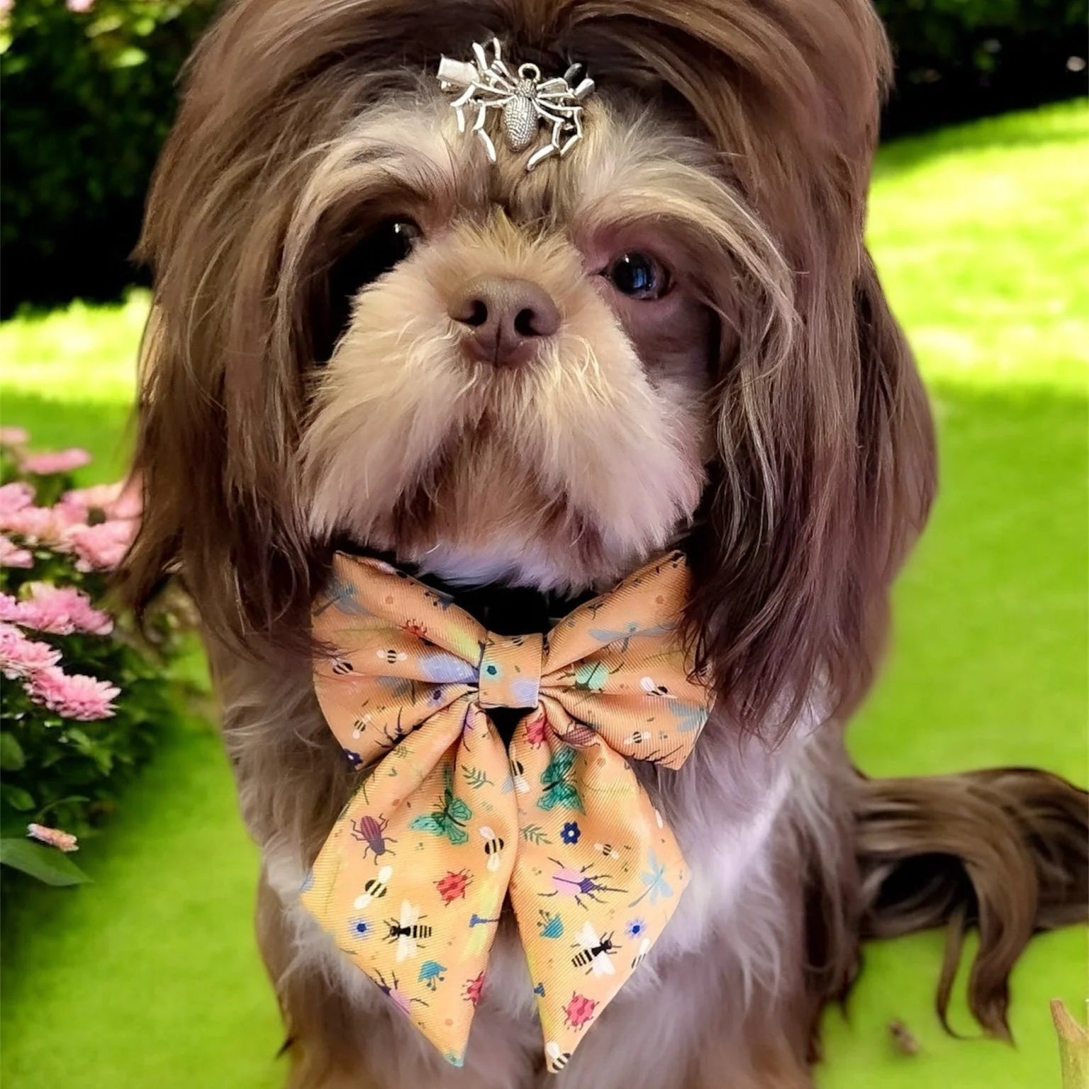 Pup Chic Boutique Summer Buzzin Sailor Bow