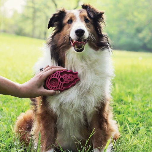 KONG Zoom Groom Raspberry Large