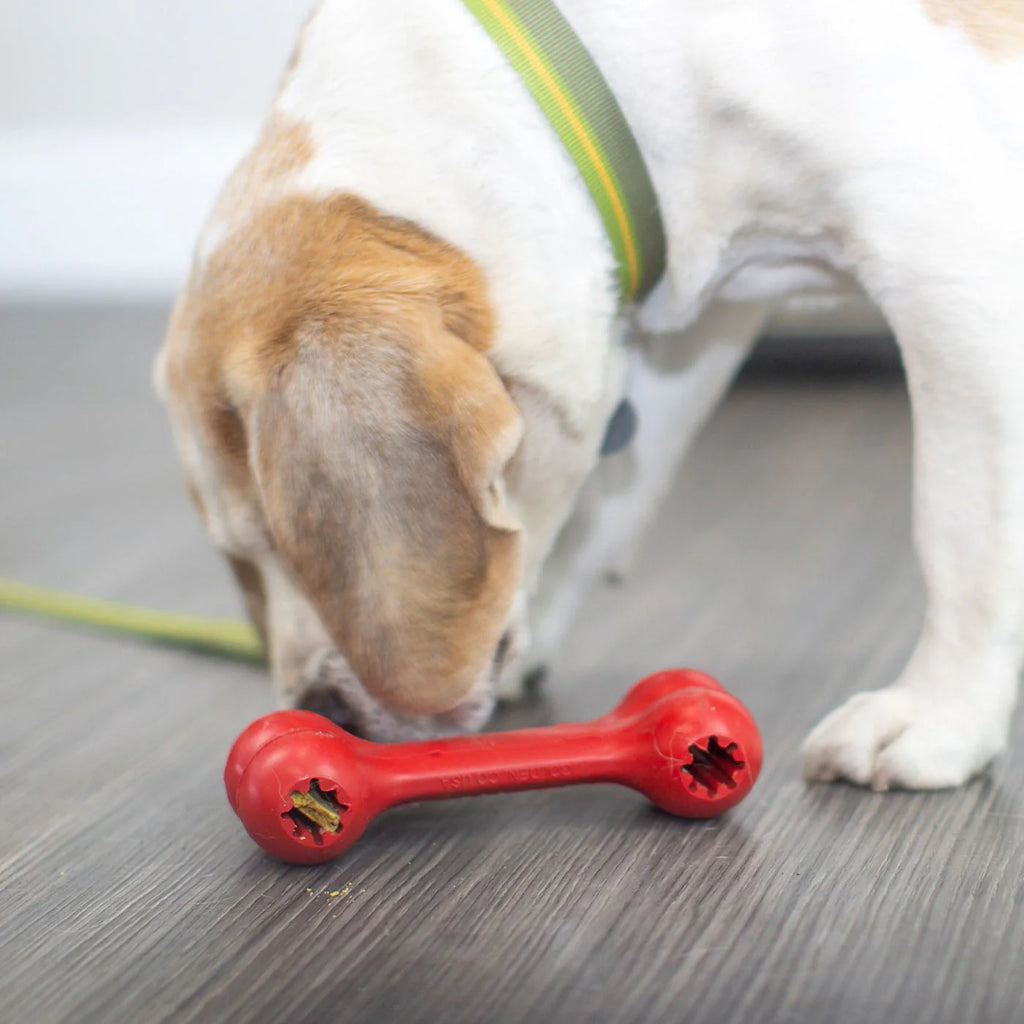 KONG Goodie Bone