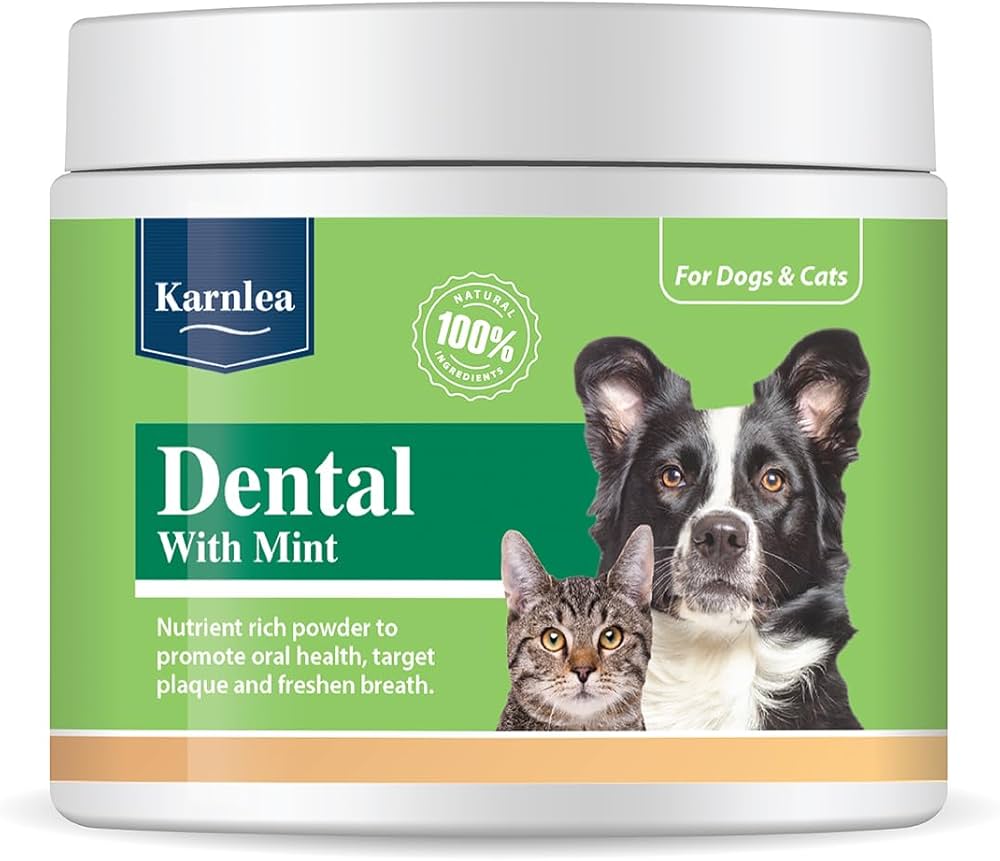 Karnlea Dental & Mint Powder