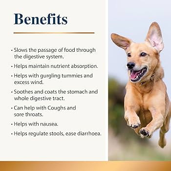 Karnlea Slippery Elm & Marshmallow Root Powder for Dogs and Cats 100g