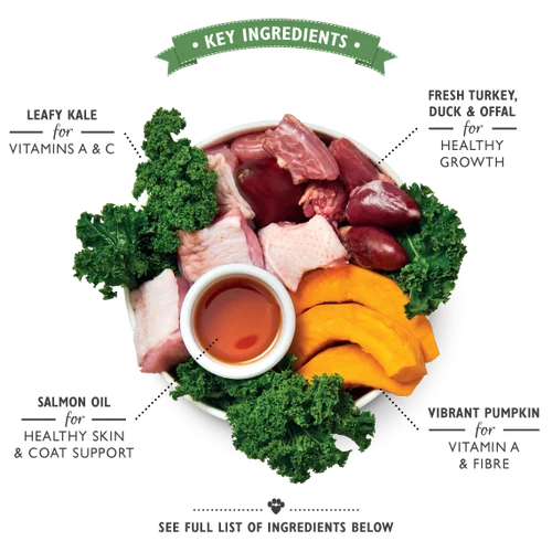 Lilys Kitchen Dog Tin Puppy Recipe Turkey & Duck 400g