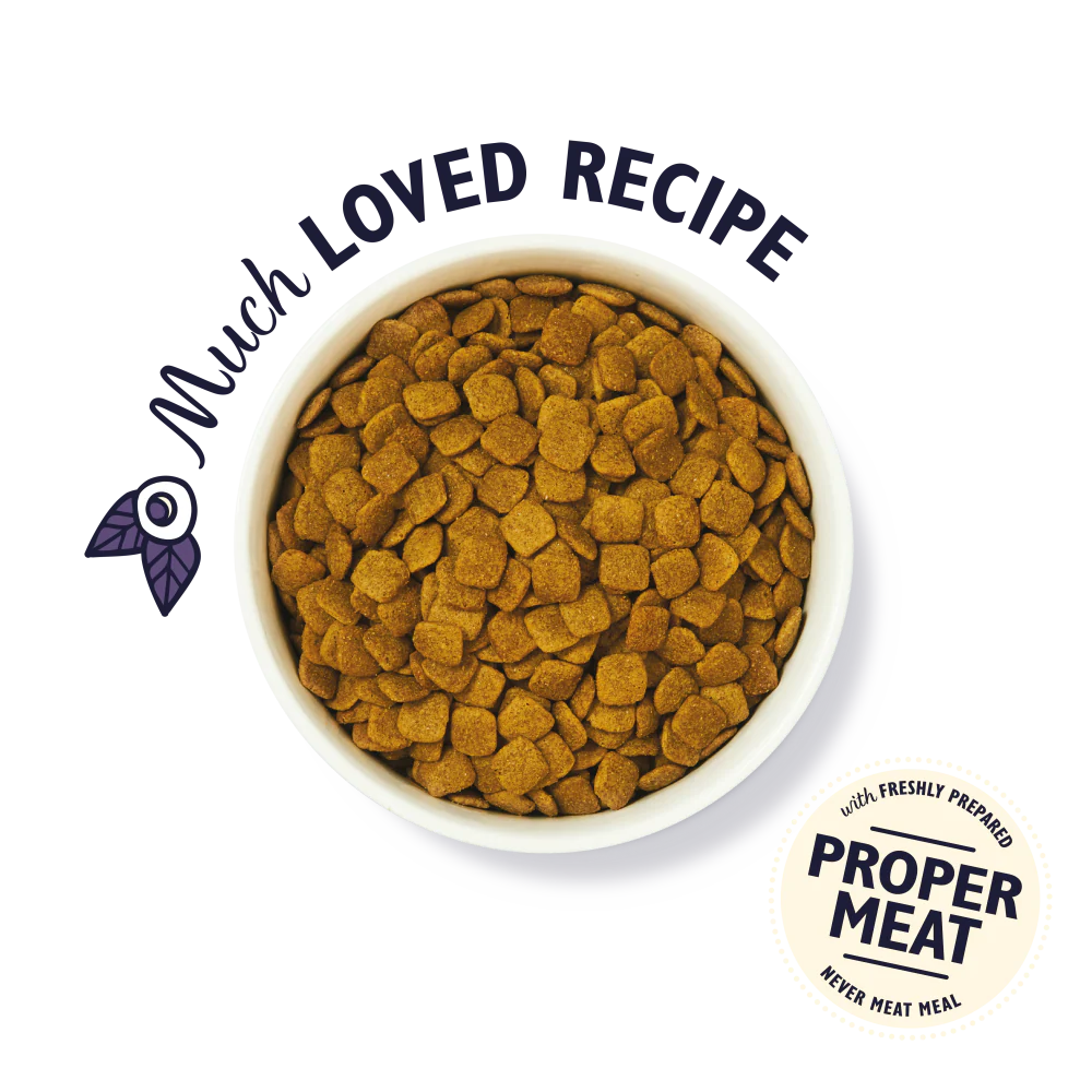 Lilys Kitchen Dog Complete Dry Senior Recipe Turkey & Trout 2.5kg