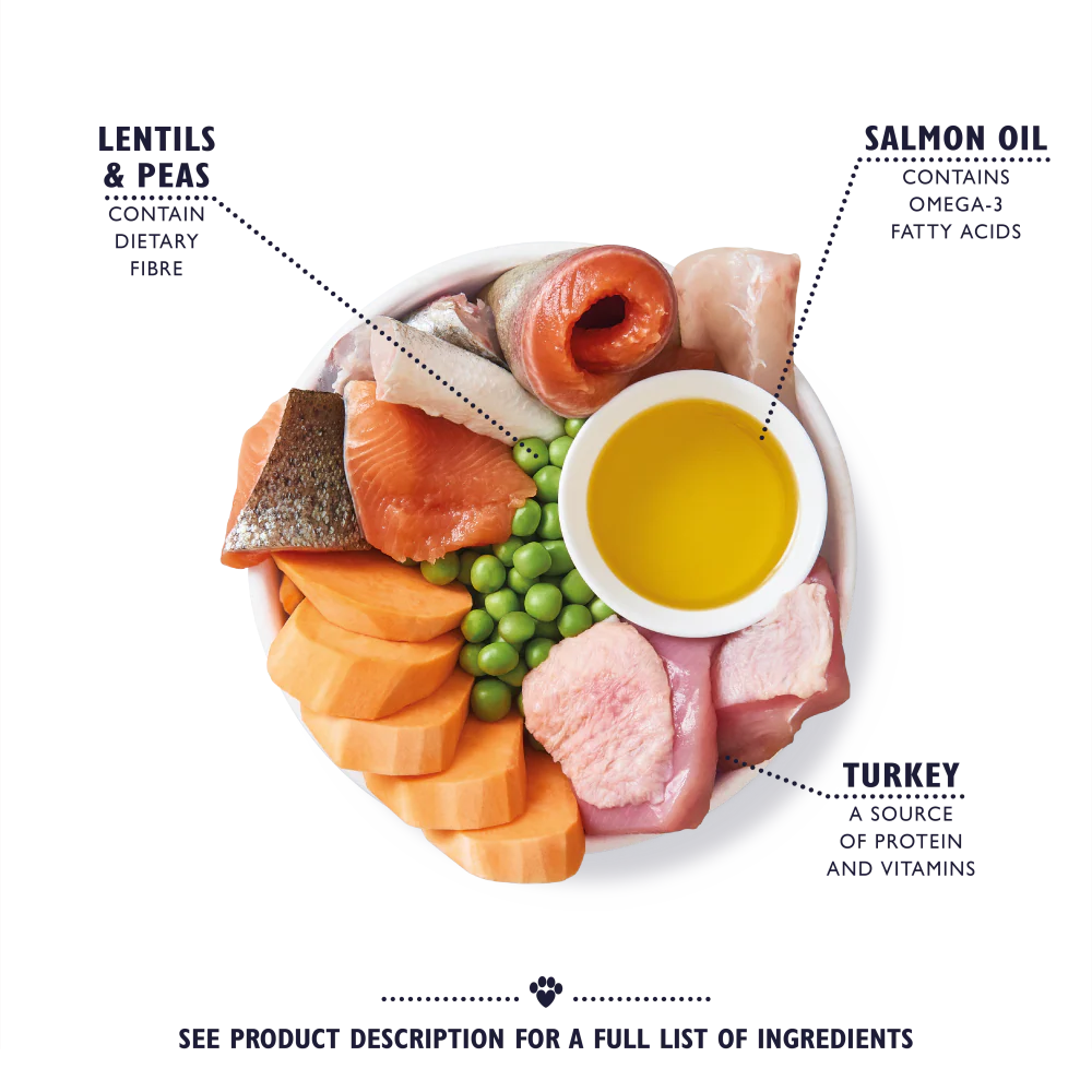 Lilys Kitchen Dog Complete Dry Senior Recipe Turkey & Trout 2.5kg