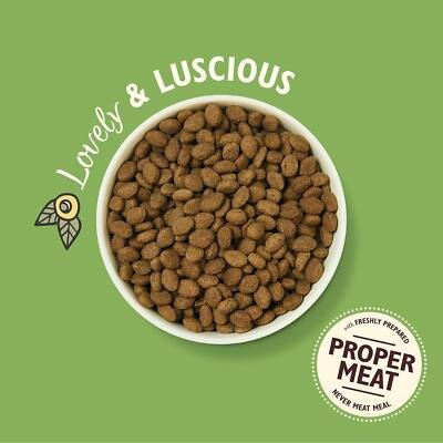 Lilys Kitchen Dog Complete Dry Shepherds Pie Lamb 2.5kg