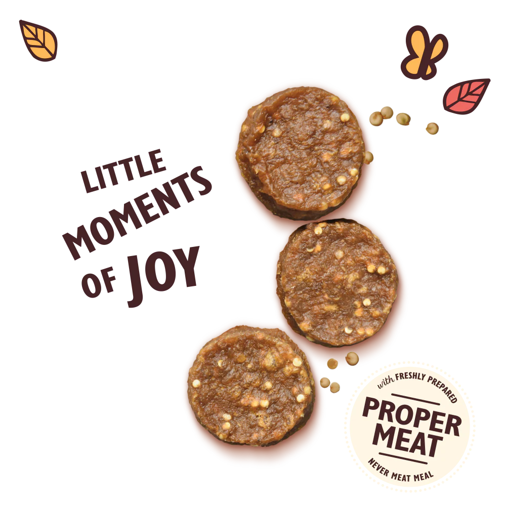 Lilys Kitchen Dog Treats Chomp-Away Chicken Bites 70g