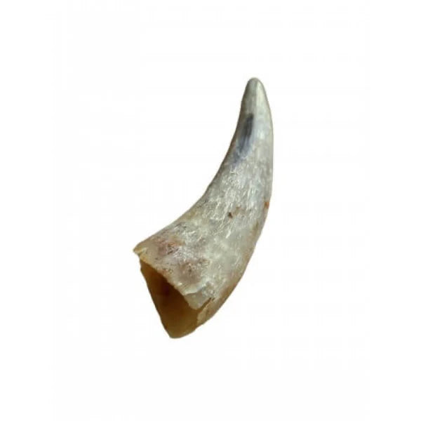 Anco Empty Cow Horn