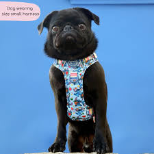 Pawsome Paws Boutique Stitch Harness