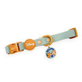 Pawsome Paws Boutique Lion and Friends Collar