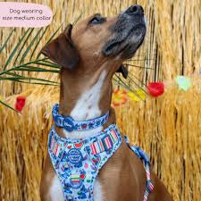 Pawsome Paws Boutique Stitch Collar