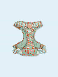 Pawsome Paws Winnie the Pooh Gingerbread Harness