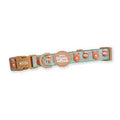 Pawsome Paws Winnie the Pooh Gingerbread Collar