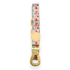 Pawsome Paws Winnie the Pooh Gingerbread Lead