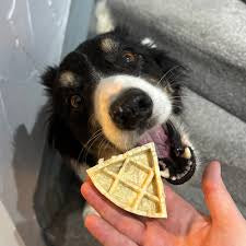 Anco Collagen Waffle Pizza