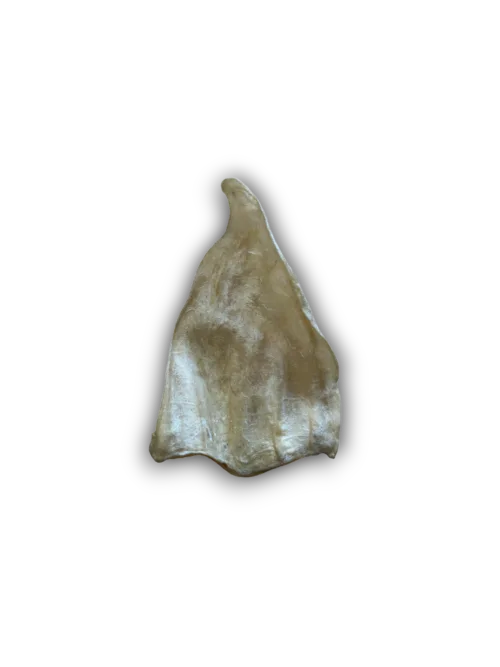 Anco Cow Ears